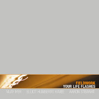 Fieldwork - Your Life Flashes