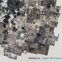 Steve Lehman & Sélébéyone - Xaybu: The Unseen