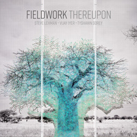 Fieldwork - Thereupon - Vinyl LP