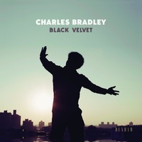 Charles Bradley - Black Velvet