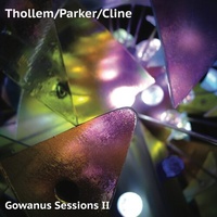 Thollem McDonas, Nels Cline, and William Parker - Gowanus Sessions II