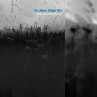 Matthew Shipp Trio - The Unidentifiable