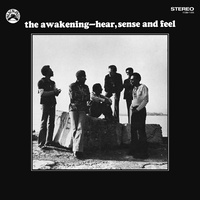 the awakening - hear, sense and feel - Vinyl LP