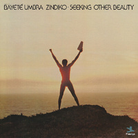 Bayeté Umbra Zindiko - Seeking Other Beauty - Vinyl LP