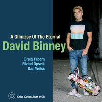 David Binney - A Glimpse Of The Eternal ﻿