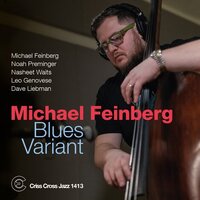 Michael Feinberg - Blues Variant