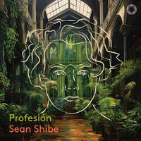 Sean Shibe - Profesión