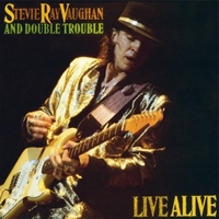 Stevie Ray Vaughan and Double Trouble - Live Alive / 2LP 180 gram vinyl