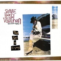 Stevie Ray Vaughan - The Sky Is Crying - 180g Vinyl LP