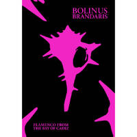 Various Artists - Bolinus Brandaris: Flamenco from the Bay of Cadiz / book & CD