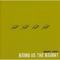 Snarky Puppy - Bring us the Bright