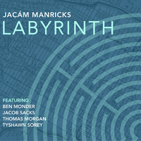 Jacam Manricks - Labyrinth