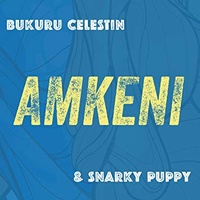 Bukuru Celestin and Snarky Puppy - Amkeni