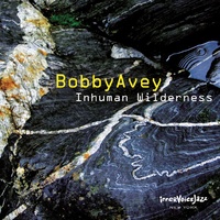 Bobby Avey - Inhuman wilderness