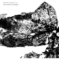 Torben Snekkestad, Agusti Fernández & Barry Guy - The Swiftest Traveler