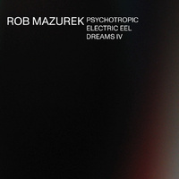Rob Mazurek - Psychotropic Electric Eel Dreams IV