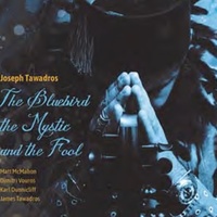Joseph Tawadros - The Bluebird, The Mystic and the Fool