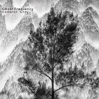Cameron Undy - Ghost Frequency