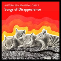 Australian Mammal Calls - Songs Of Disappearance