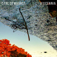 Carl Dewhurst - Avicennia