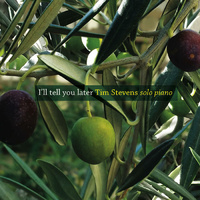 Tim Stevens - I'll Tell You Later