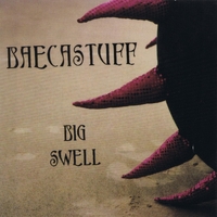 Baecastuff - Big Swell