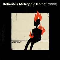 Bokante + Metropole Orkest - What Heat