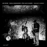Joe McPhee | Pascal Niggenkemper | Ståle Liavik Solberg - Imaginary Numbers