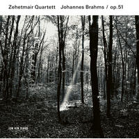 Zehetmair Quartett - Johannes Brahms / op.51