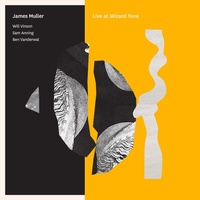 James Muller - Live at Wizard Tone