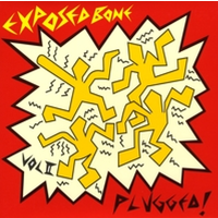 Jeremy Borthwick & Exposed Bone - Vol. II: Plugged!