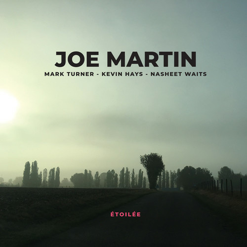 Joe Martin - Etoilee