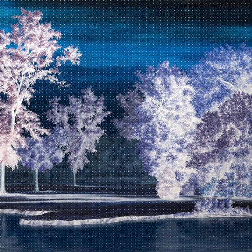 Ingrid Laubrock - The Last  Quiet Place