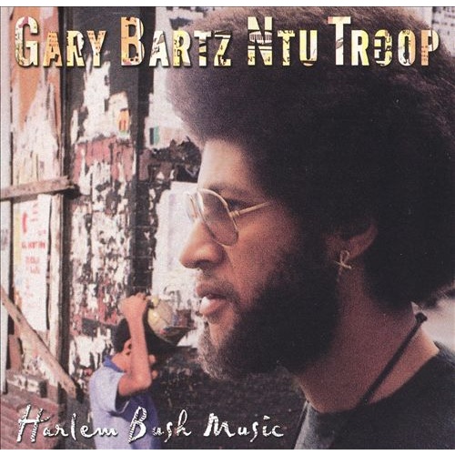 Gary Bartz Ntu Troop - Harlem Bush Music
