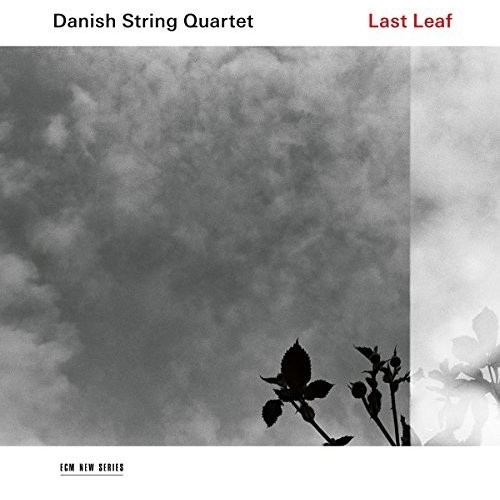 Danish String Quartet - Last Leaf