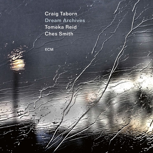 Craig Taborn, Tomeka Reid & Ches Smith - Dream Archives