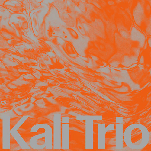 Kali Trio - The Playful Abstract