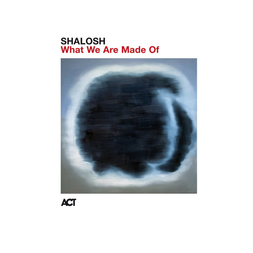 Shalosh - What We Are Made Of