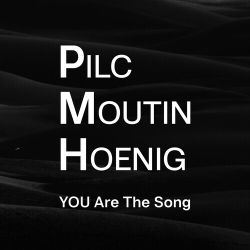 Pilc Moutin Hoenig - You Are the Song