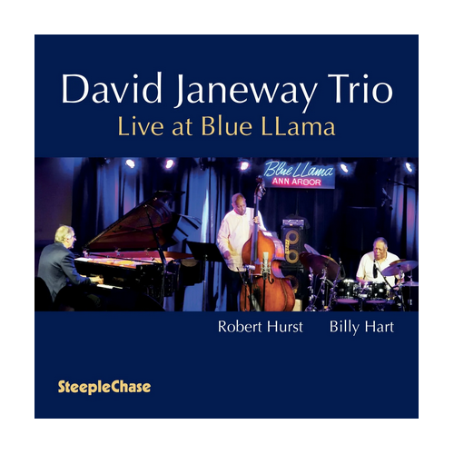 David Janeway Trio - Live At Blue LLama