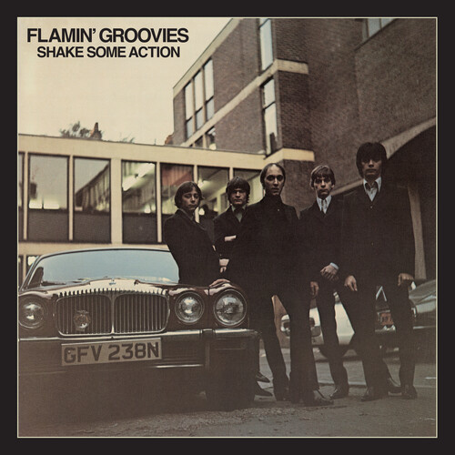Flamin' Groovies - Shake Some Action - 2 x Vinyl LPs