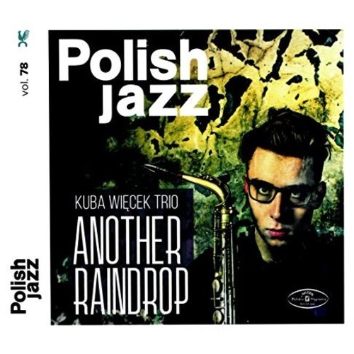 Kuba Wiecek Trio - Another Raindrop