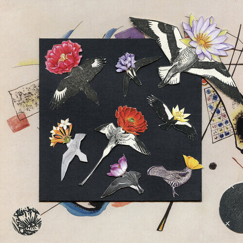 Caroline Davis - Alula: Captivity