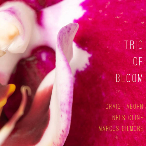Craig Taborn, Nels Cline, Marcus Gilmore - Trio of Bloom