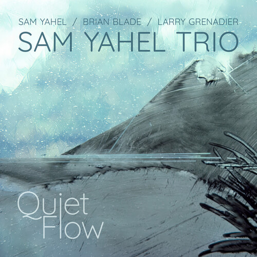 Sam Yahel - Quiet Flow