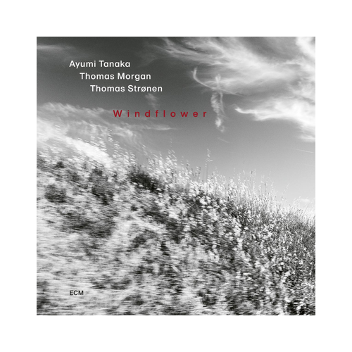 Ayumi Tanaka, Thomas Morgan & Thomas Strønen - Windflower