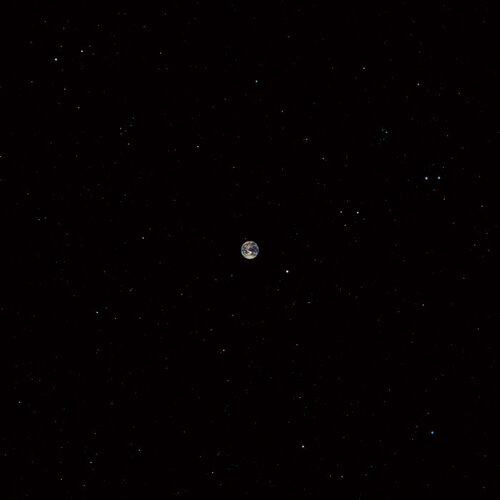 Marc Ribot Ceramic Dog - HOPE