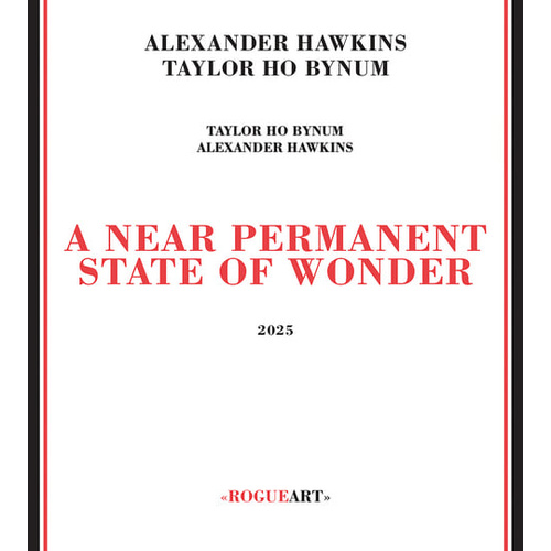 Alexander Hawkins / Taylor Ho Bynum - A Near Permanent State Of Wonder