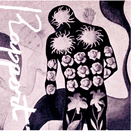 Yusei Takahashi - Rapport