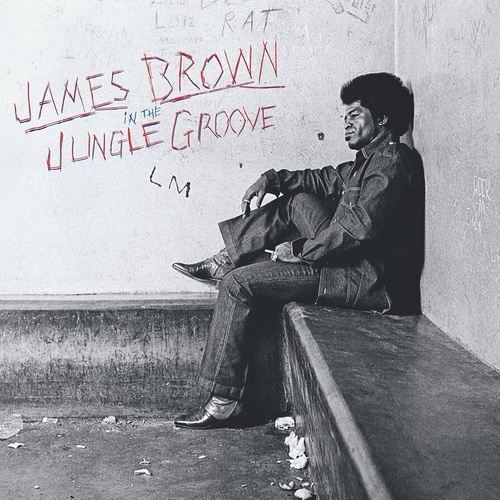 James Brown - In the Jungle Groove